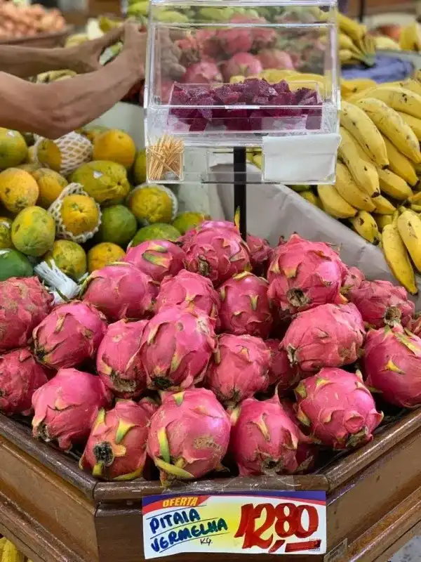 balcão degustação promocional desmontável stand eventos