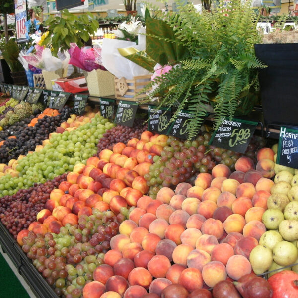 Divisórias para Hortifruti